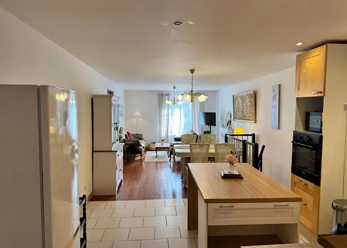 La Marquise Duplex 2 Avec Terrasse Privée By Boookingfuté Socourt